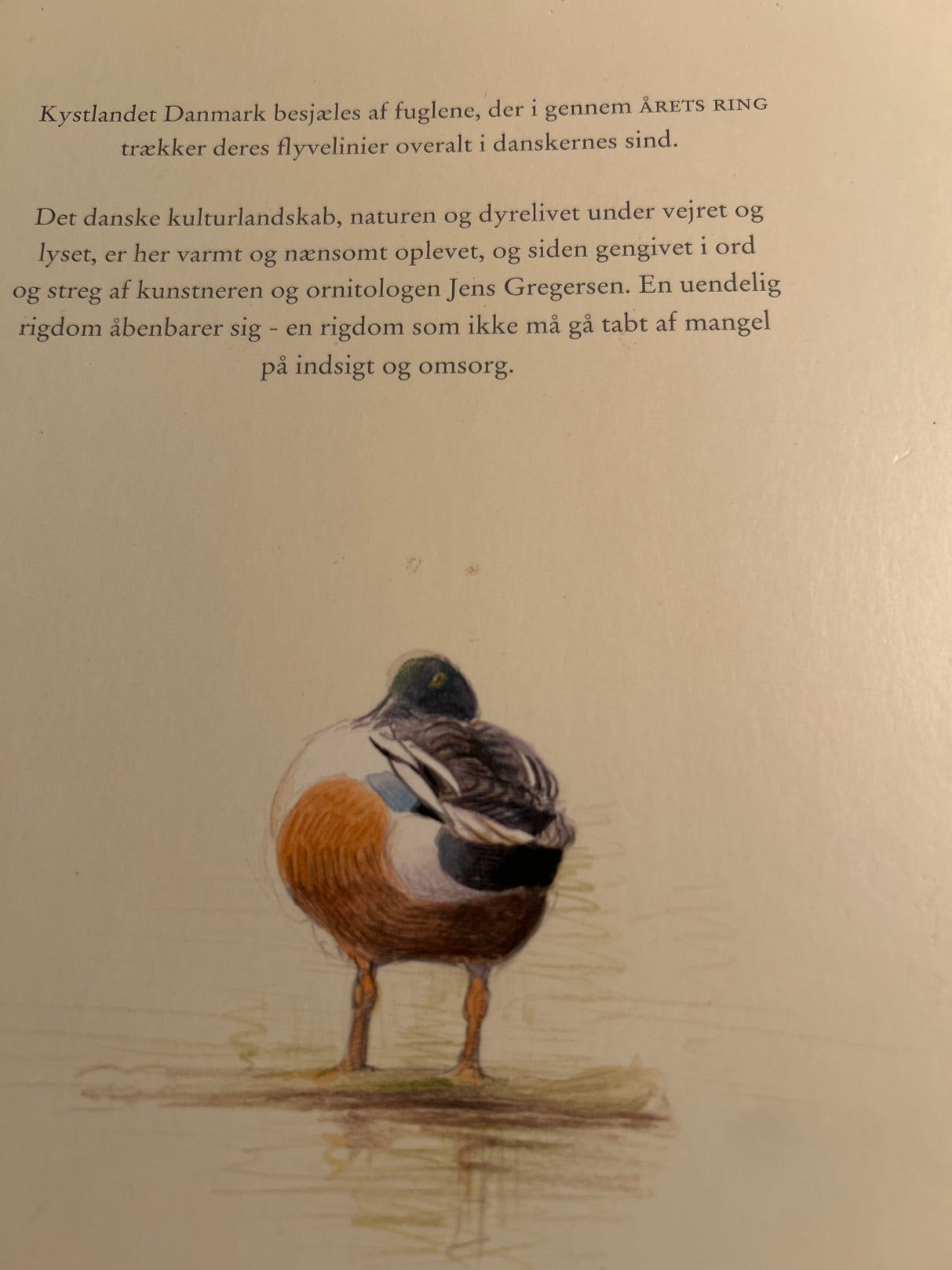 Årets Ring af Jens Gregersen